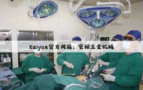 Kaiyun官方网站：宏标五金机械