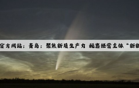 Kaiyun官方网站：青岛：聚焦新质生产力 税惠经营主体“新新向荣”