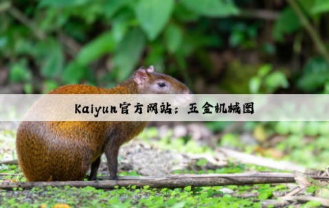 Kaiyun官方网站：五金机械图
