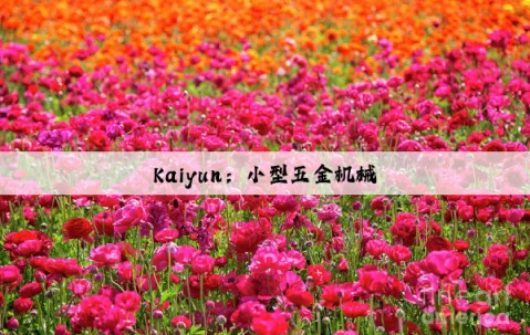 Kaiyun：小型五金机械
