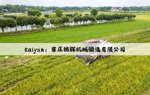 Kaiyun：枣庄锦辉机械锻造有限公司