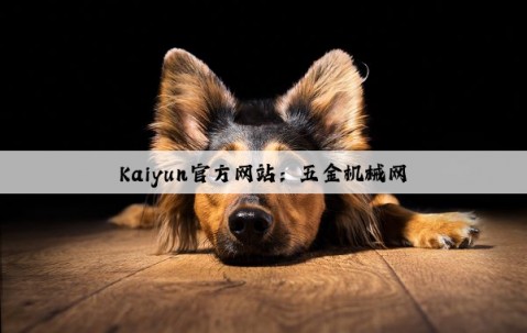 Kaiyun官方网站：五金机械网