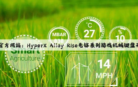 Kaiyun官方网站：HyperX Alloy Rise先锋系列游戏机械键盘开箱体验