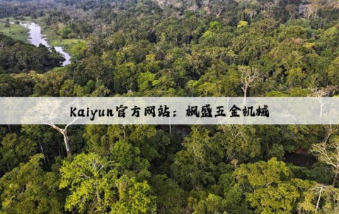Kaiyun官方网站：枫盛五金机械